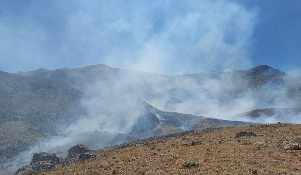 آتش سوزی پناهگاه حیات وحش کیامکی